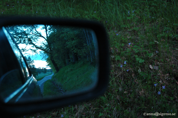 Snapshot of the past