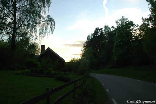 Walking towards the light