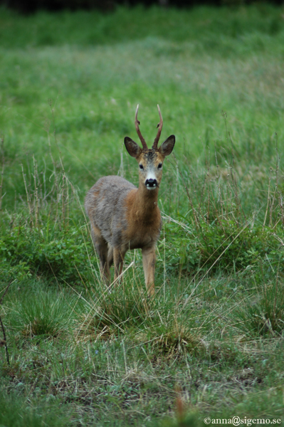 Please dear dont look at me like that