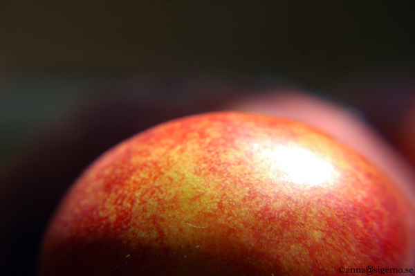 nectarine in spotlight